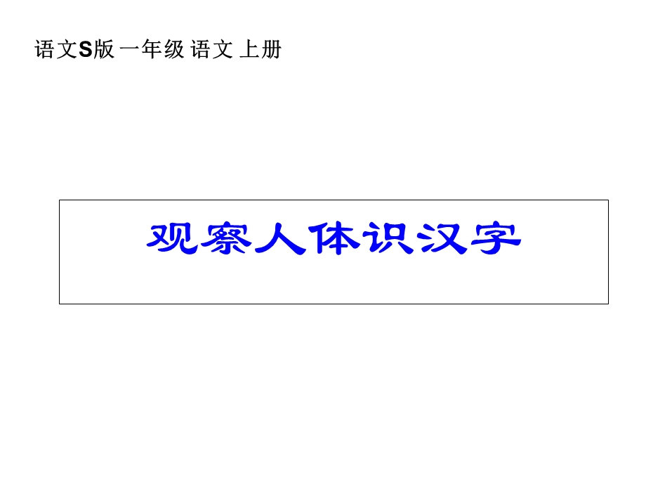 观察人体识汉字.ppt_第2页