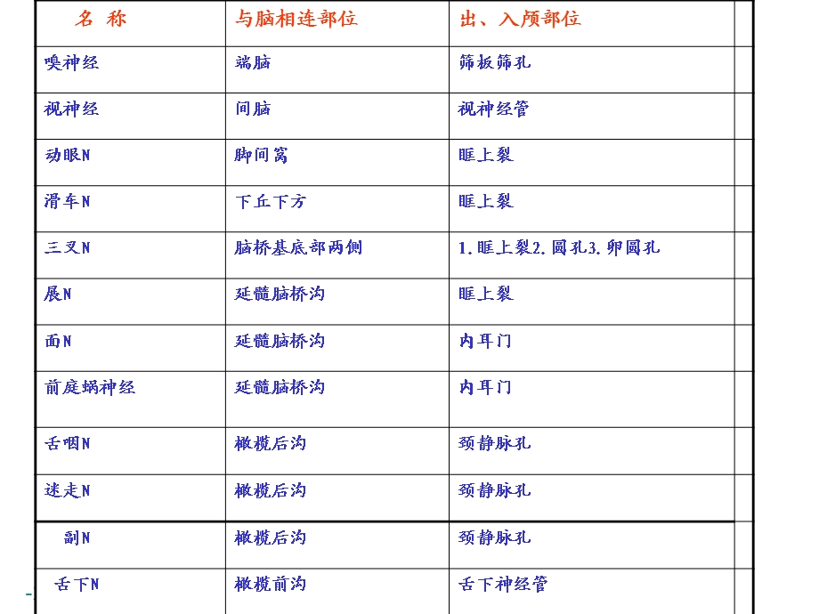 青岛版小学科学五级下册《脑与神经》课件　.ppt_第2页