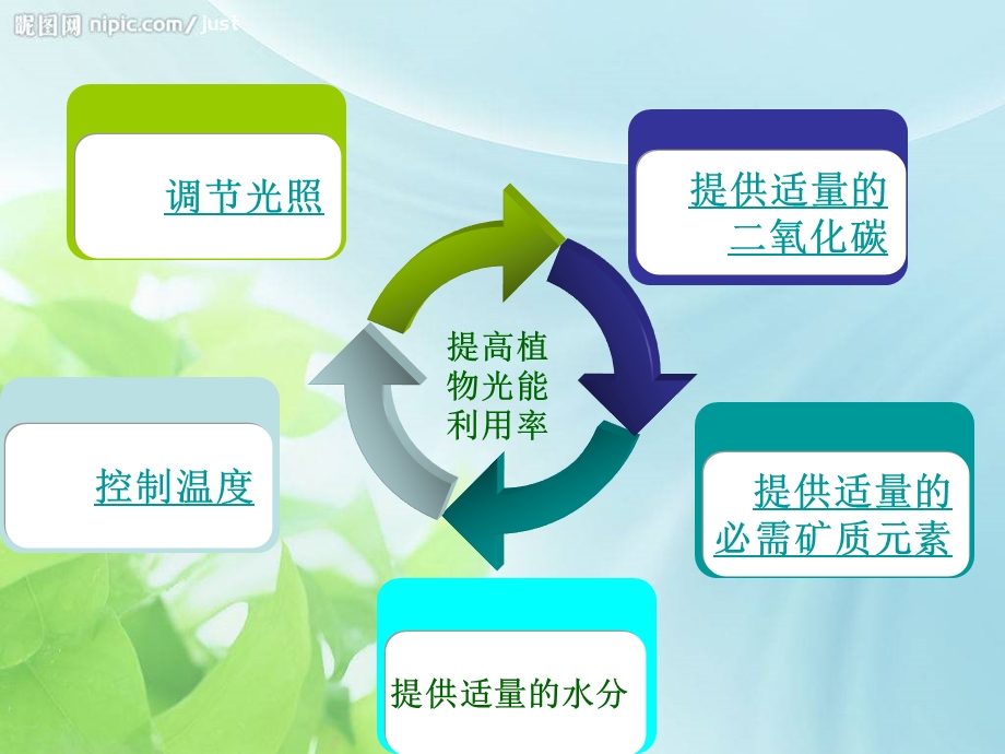 提高植物光能利用率【ppt】 .ppt_第2页