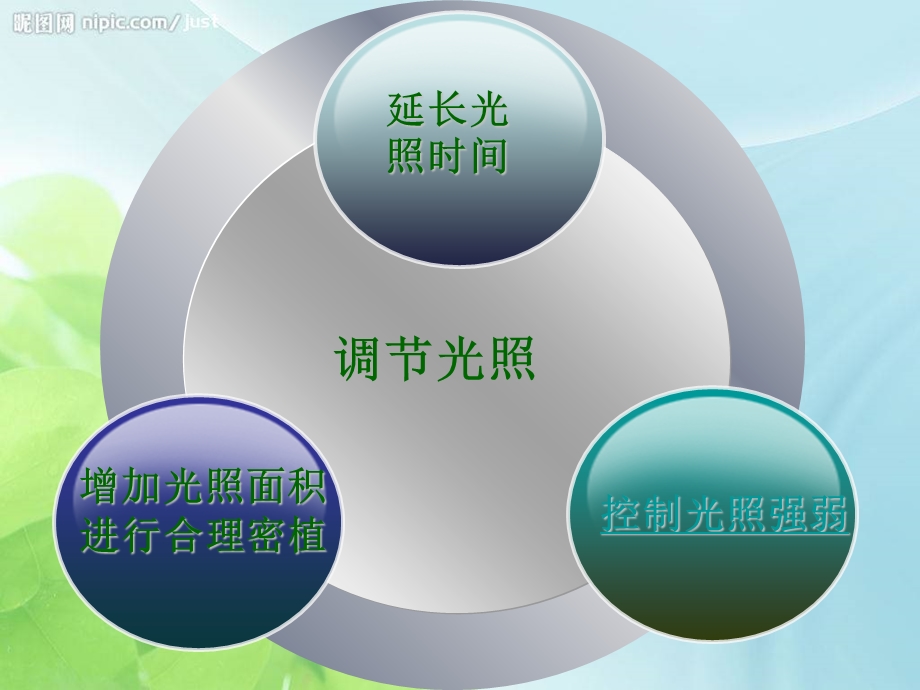 提高植物光能利用率【ppt】 .ppt_第3页