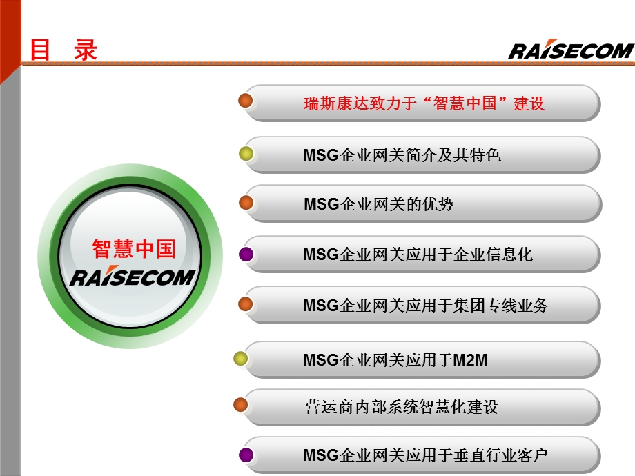 营运商企业信息化与方案.ppt_第2页