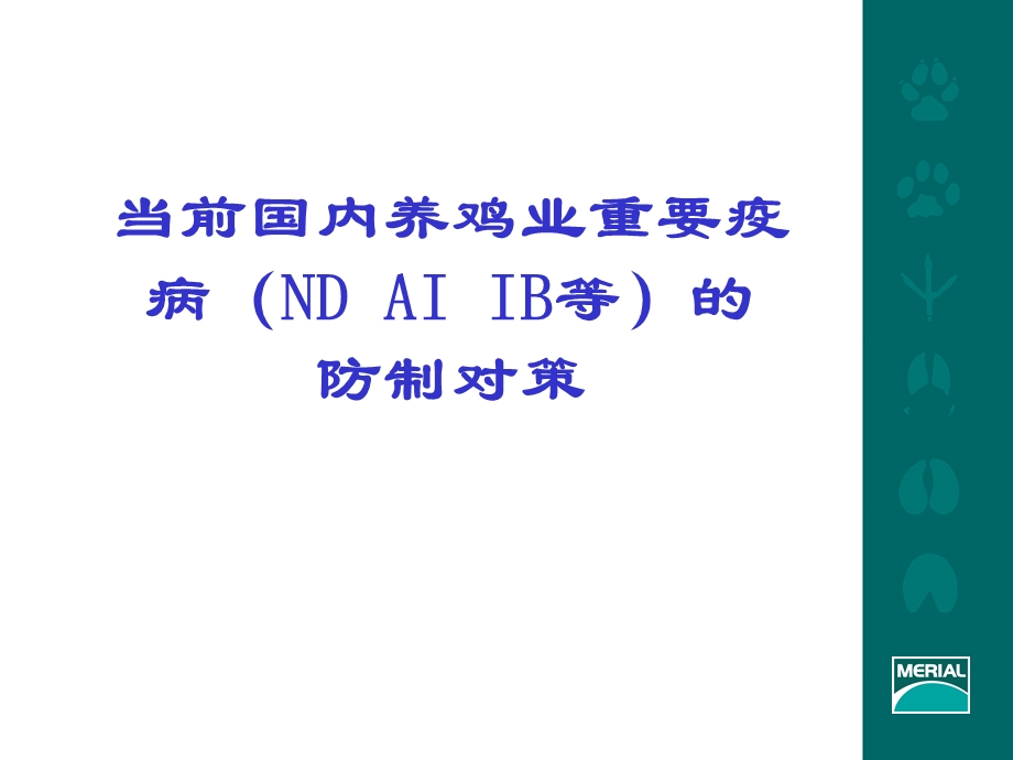 当前国内养鸡业重要疫病的防制对策.ppt_第1页