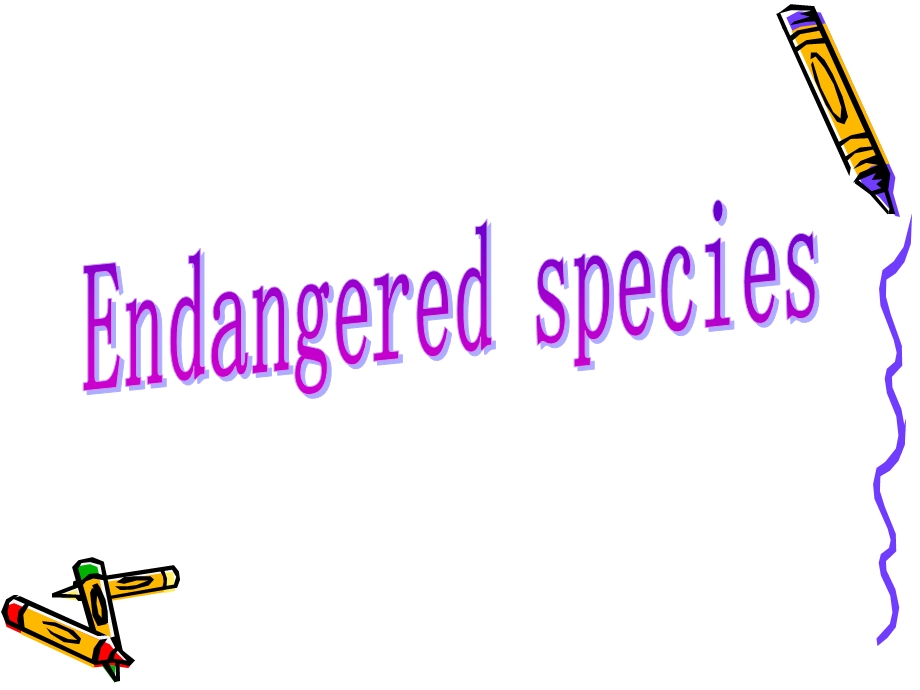 濒危动物Endangered species.ppt_第1页