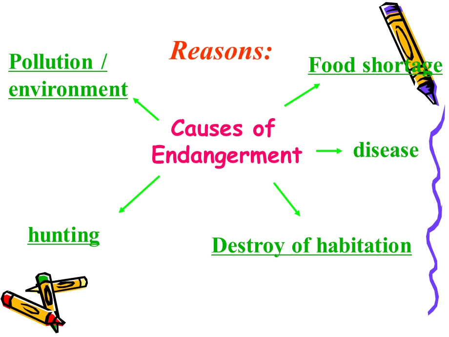 濒危动物Endangered species.ppt_第3页