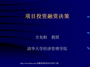 項目投資融資决策.ppt