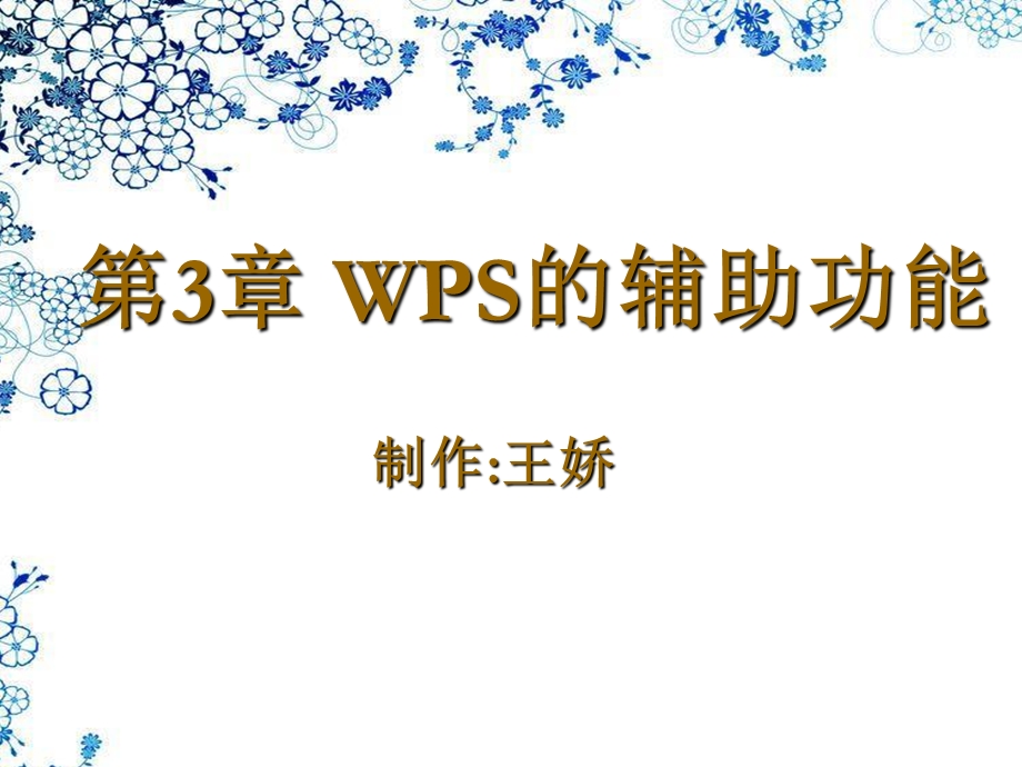 WPS的辅助功能.ppt_第1页