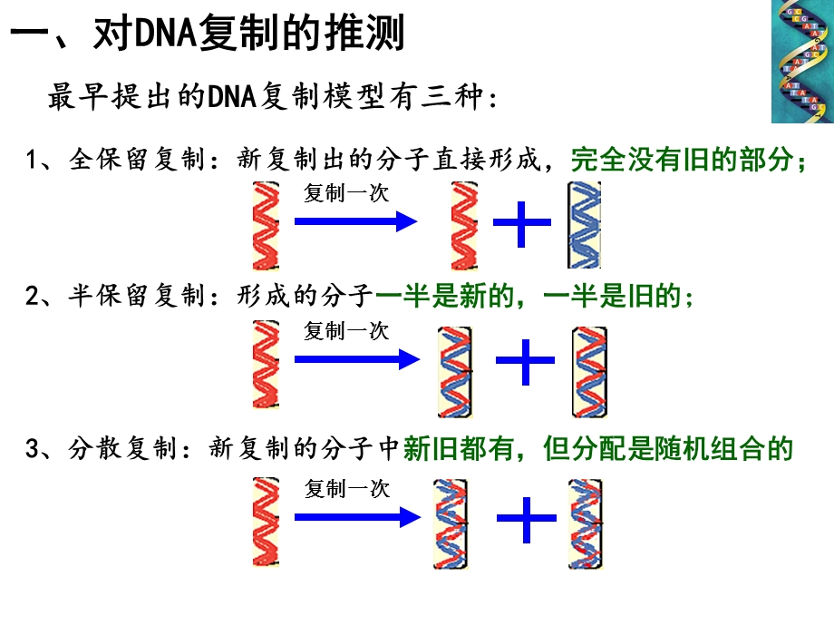 人教版高中生物课件：DNA的复制.ppt_第2页