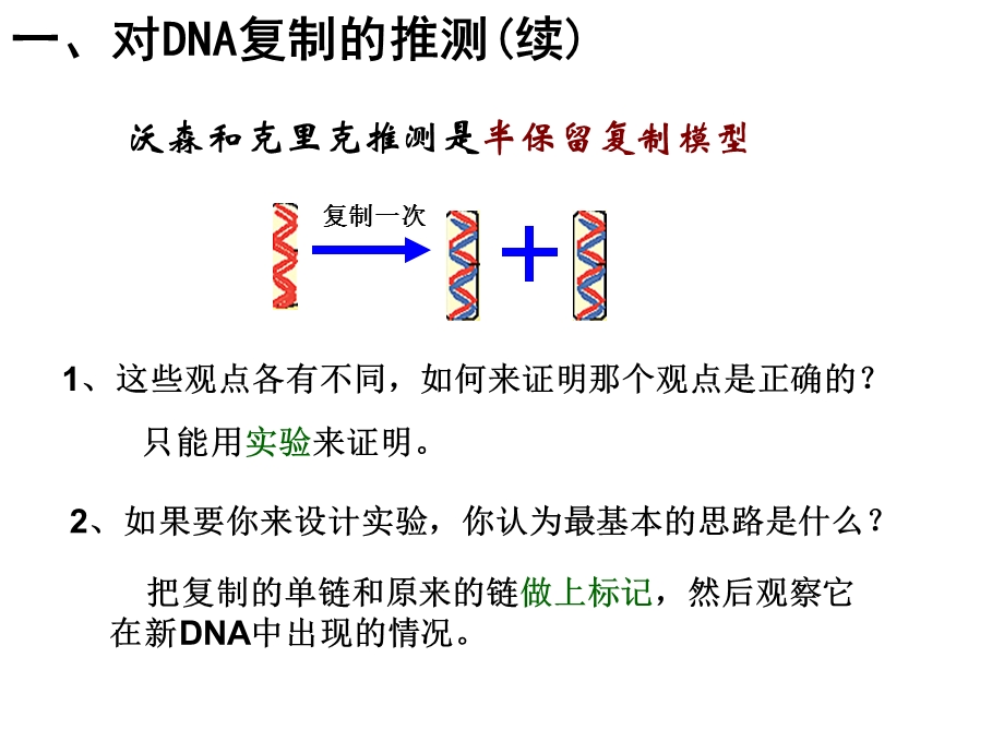 人教版高中生物课件：DNA的复制.ppt_第3页