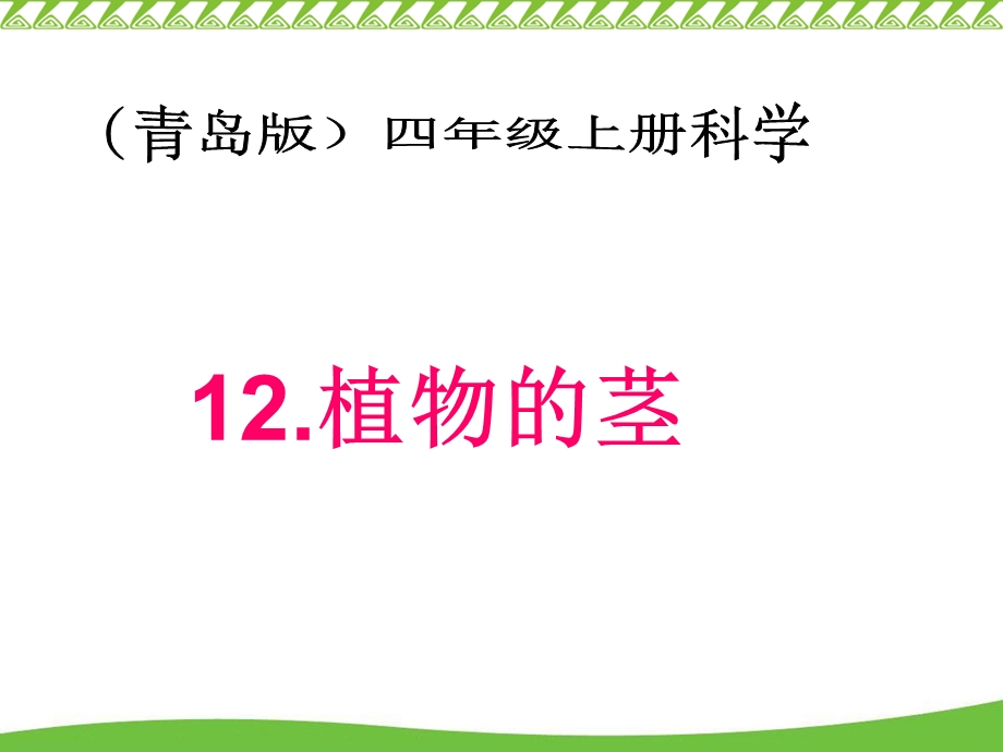 青岛版小学科学四级上册第12课《植物的茎》 .ppt_第1页