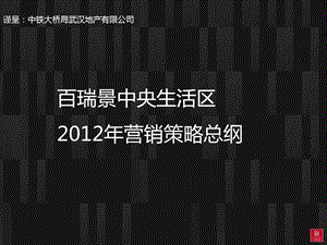 武汉百瑞景中央生活区营销策略总纲.ppt