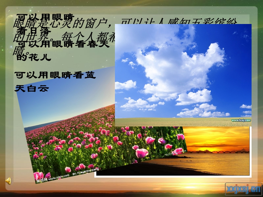 呵护我们的眼睛.ppt.ppt_第2页