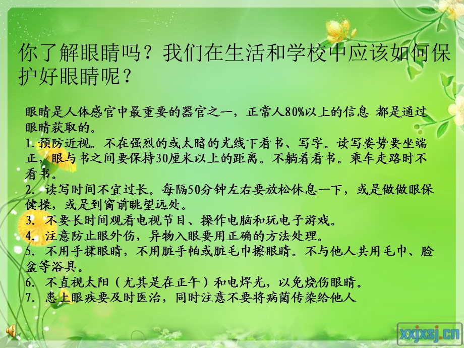 呵护我们的眼睛.ppt.ppt_第3页