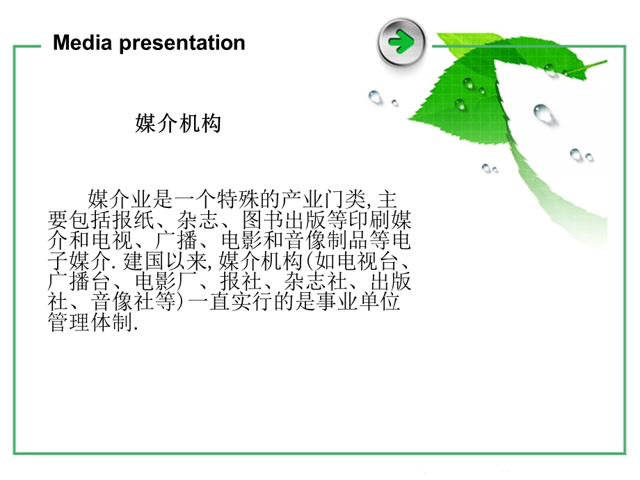 媒介呈现方式.ppt_第2页