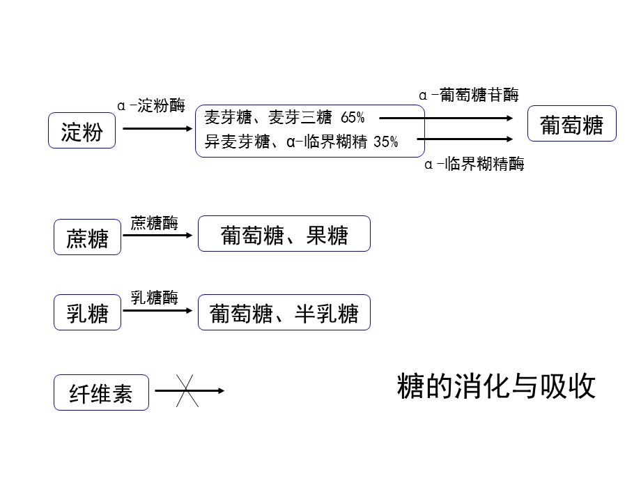 血糖、血脂、病毒性肝炎的实验室检测.ppt_第3页