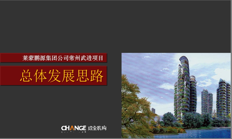 成全机构江苏常州莱蒙项目发展建议报告81页.ppt_第1页