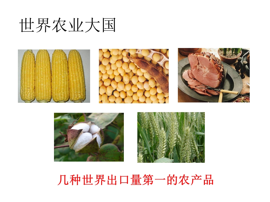 区域农业的可持续发展.ppt_第3页