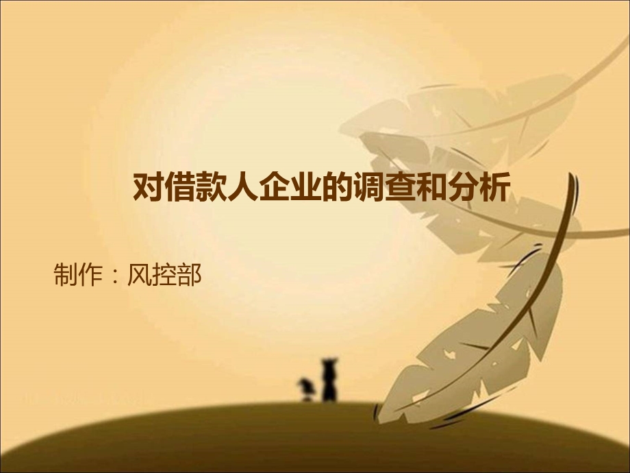 小额贷款风控对借款人企业的调查和分析(2).ppt_第1页