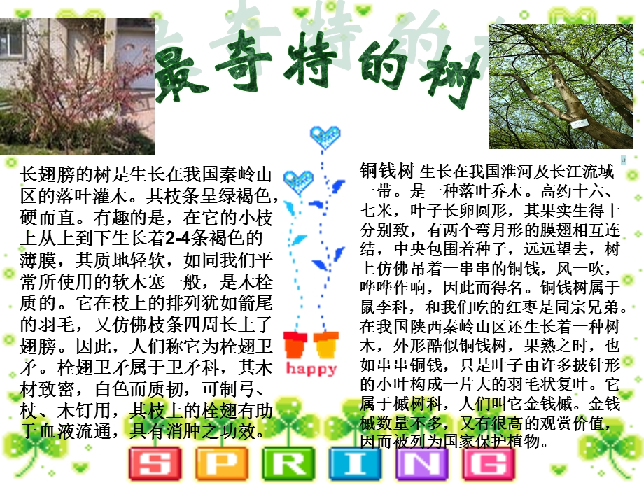 各种奇特的植物.ppt.ppt_第3页