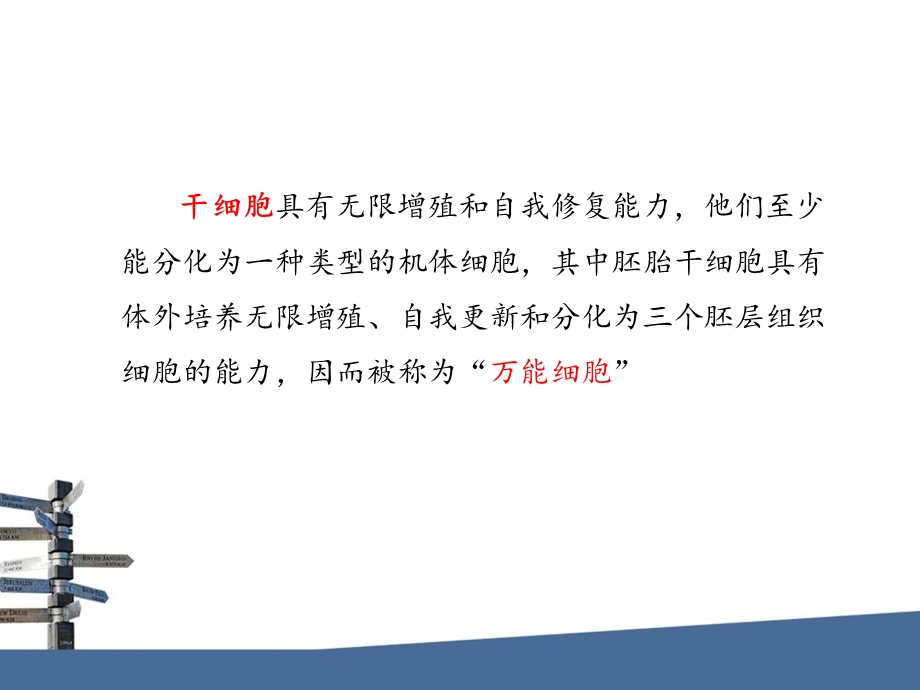 第15章动物干细胞技术.ppt.ppt_第3页