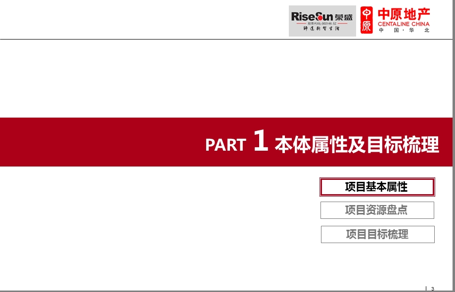 沧州荣盛国际购物广场项目投标报告87p.ppt_第3页