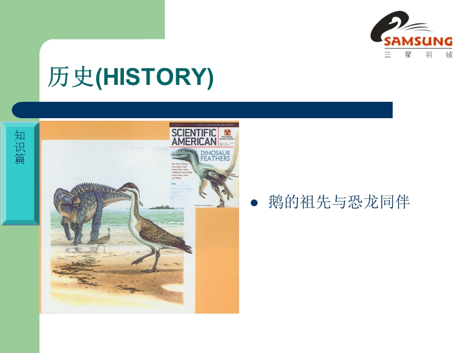 [最新]羽绒被小常识.ppt_第2页