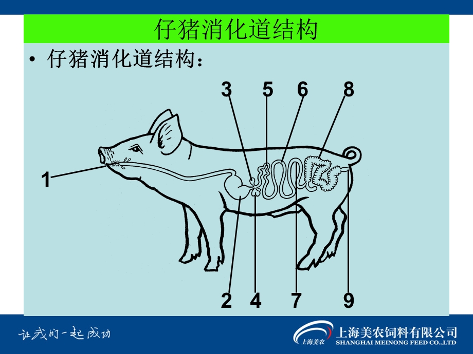 酸化剂作用理论基础.ppt_第3页