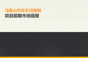 安徽马鞍山非常完善的前期市场报告52p.ppt