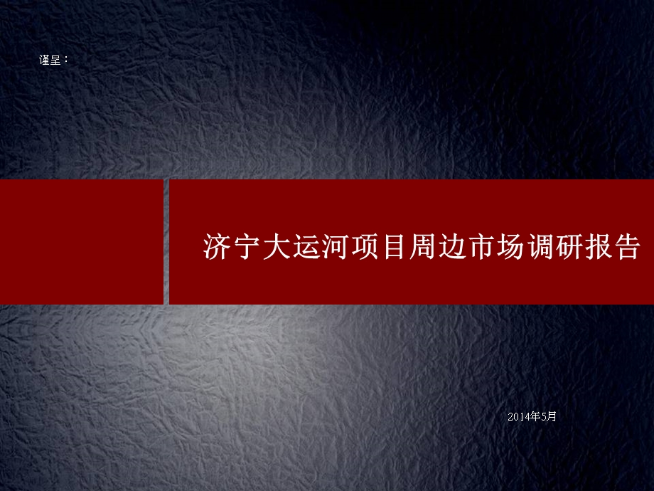 济宁大运河项目周边市场调研报告31p.ppt_第1页