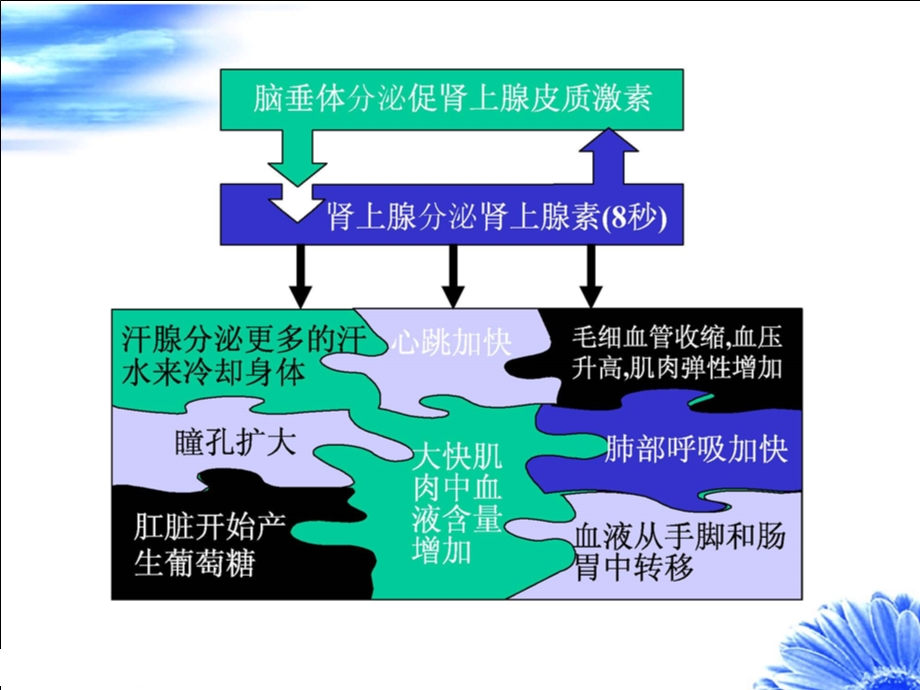 压力情绪管理培训.ppt_第3页