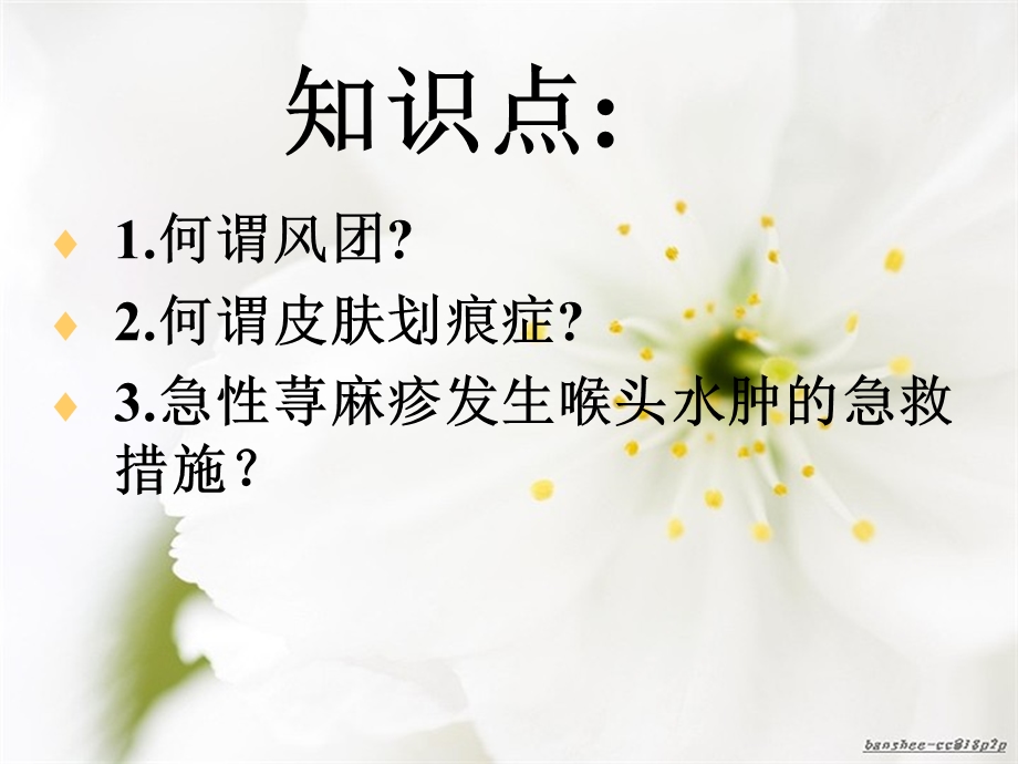 皮肤科护理查房荨麻疹(1).ppt_第2页