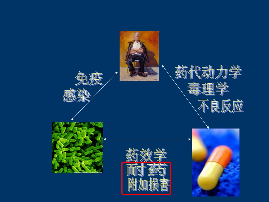 优化抗感染治疗减少附加损害.ppt_第2页