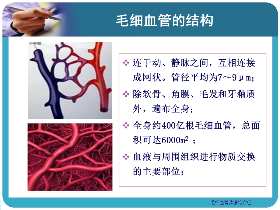 毛细血管渗漏综合征图文.ppt_第3页