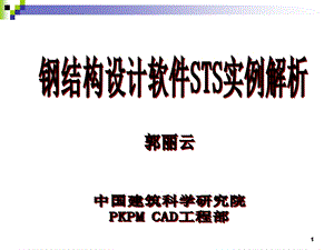 钢结构设计软件STS实例解析（精品） .ppt