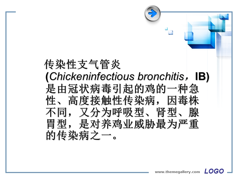 传染性支气管炎预防.ppt_第3页