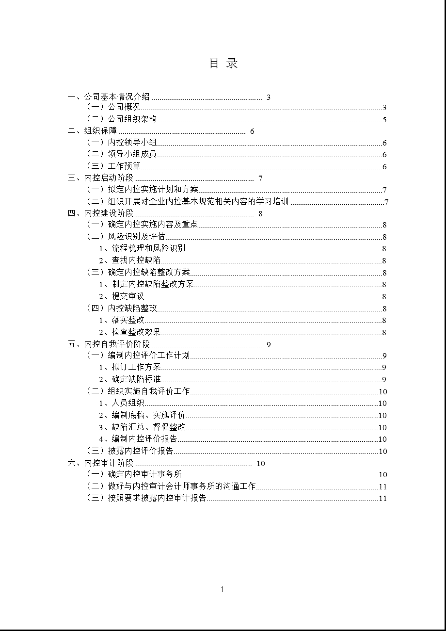 900935 阳晨B股内部控制规范实施工作方案.ppt_第2页
