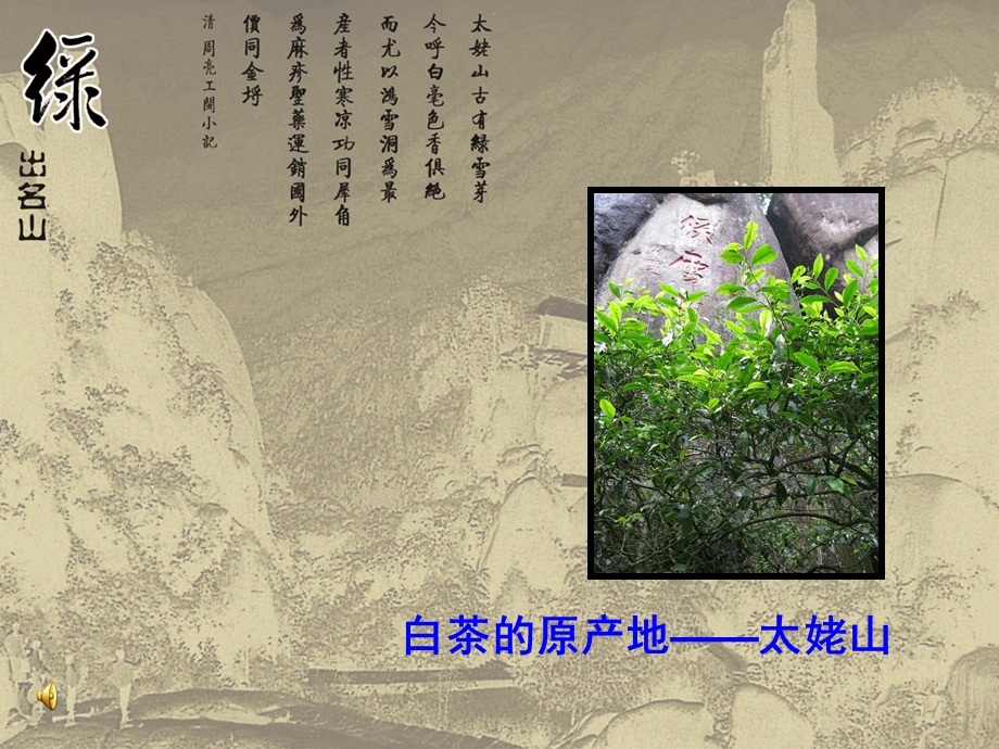 茶叶宣传资料PPT绿雪芽白茶.ppt_第1页