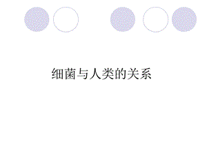 青岛版小学科学六级上册《细菌》课件.ppt