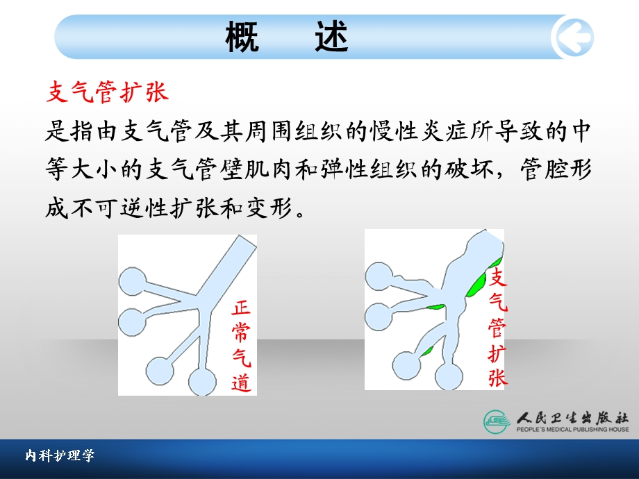 支气管扩张病人的护理1.ppt_第3页