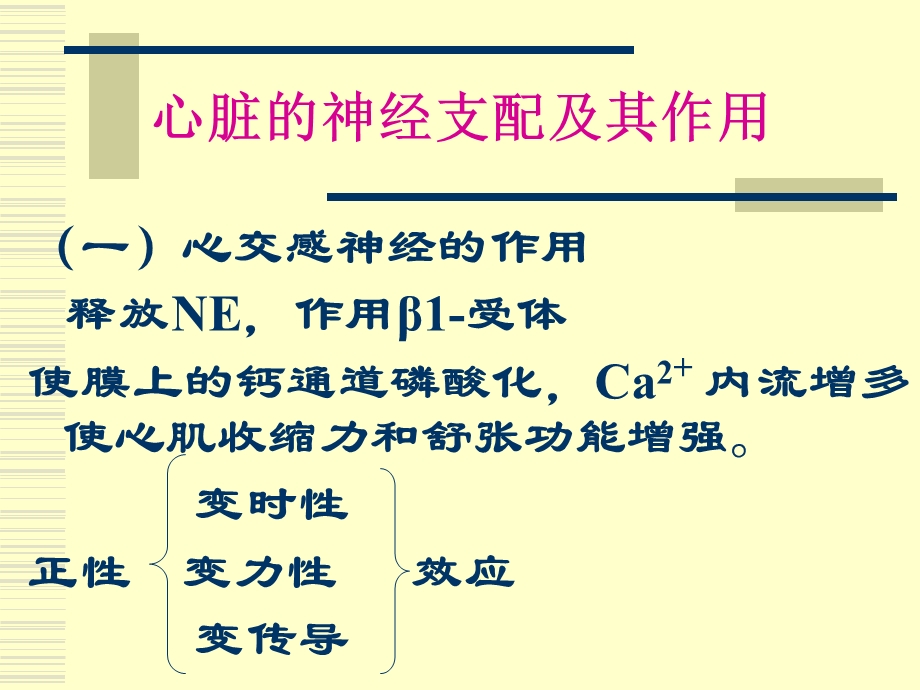 生理学心血管活动调节.ppt_第3页