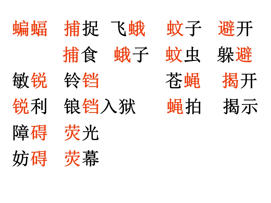 蝙蝠和雷达ppt(免费).ppt.ppt_第2页