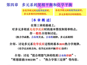 多元系的复相平衡和化学平衡.ppt