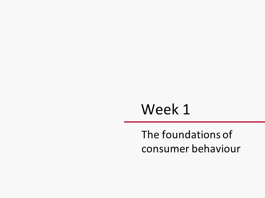 Consumer Decision Making & Behaviour.ppt_第2页