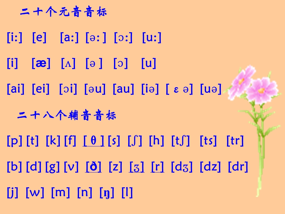 48个音标教学图文.ppt_第2页