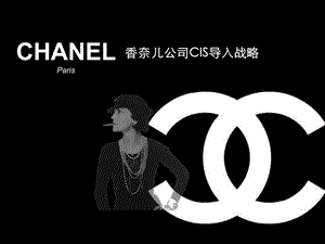 chanel CIS导入案例.ppt.ppt