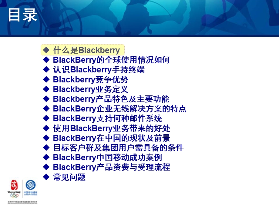 移动BlackBerry业务讲义.ppt_第2页