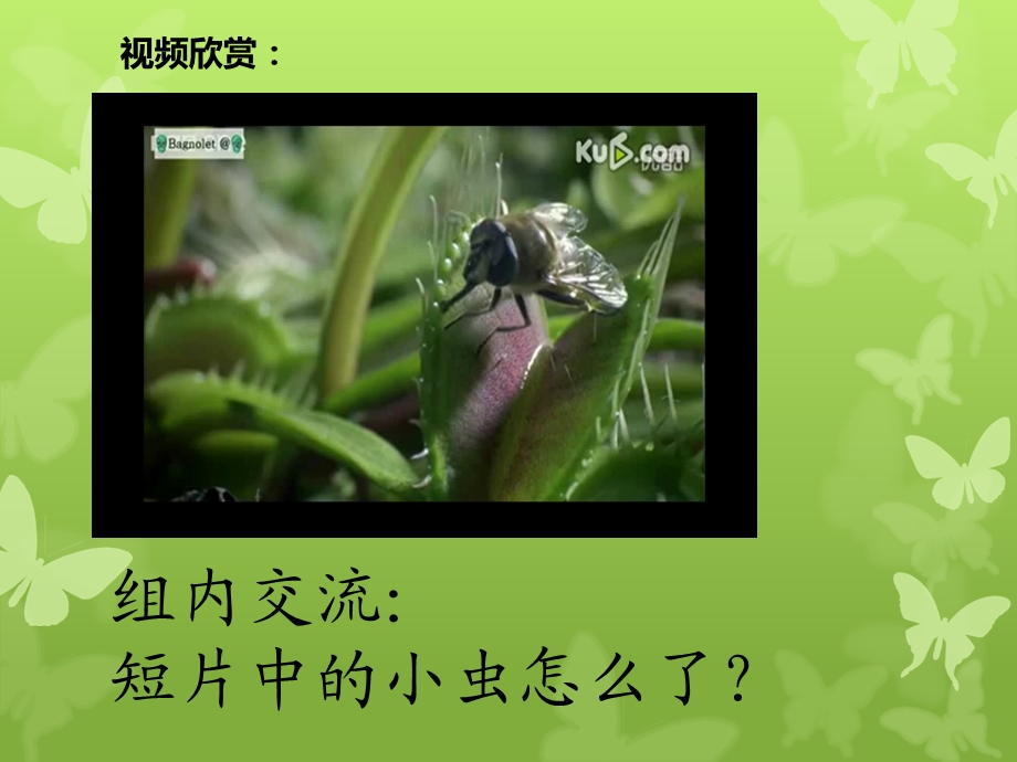 人美版小学三级美术下册《吃虫草》课件5.ppt_第2页