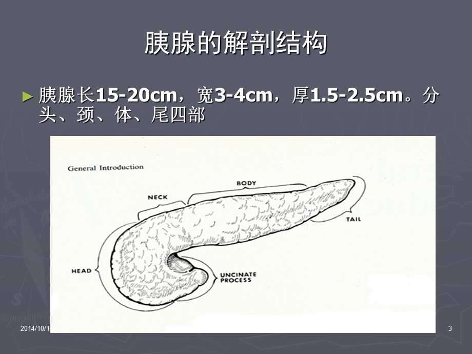 2503101670急性重症胰腺炎监测与护理.ppt.ppt_第3页