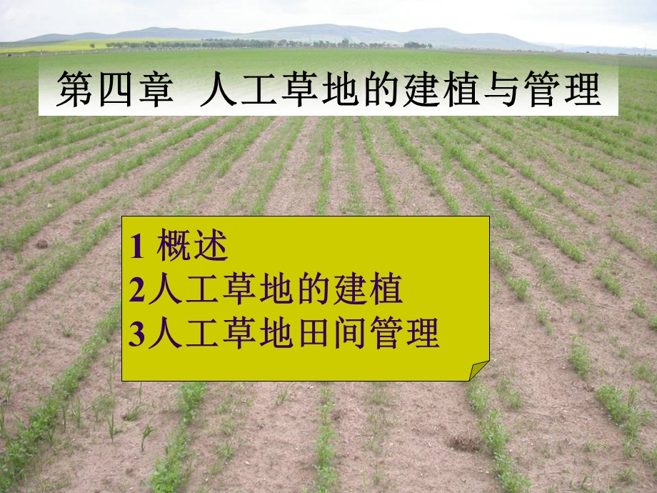 第八章 人工草地的建立.ppt_第1页