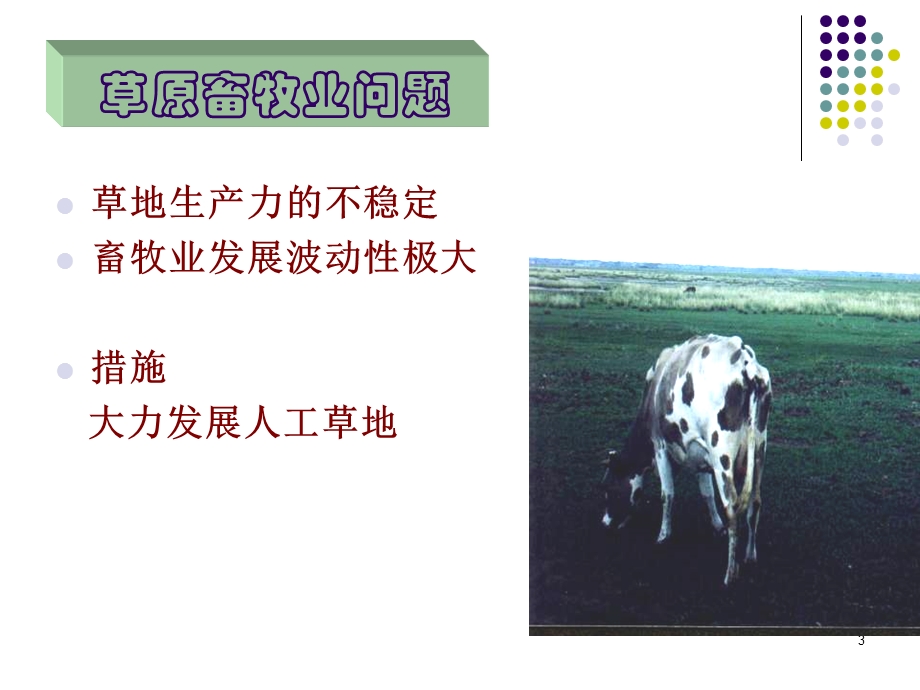 第八章 人工草地的建立.ppt_第3页