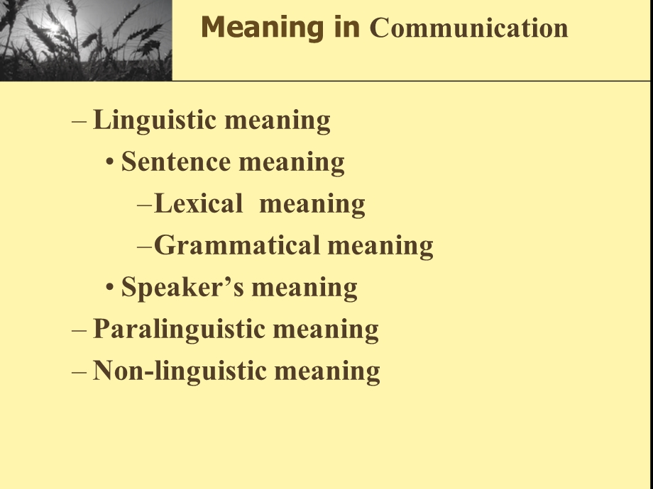 chapter 5Semantics英语专业语言学PPT.ppt_第2页